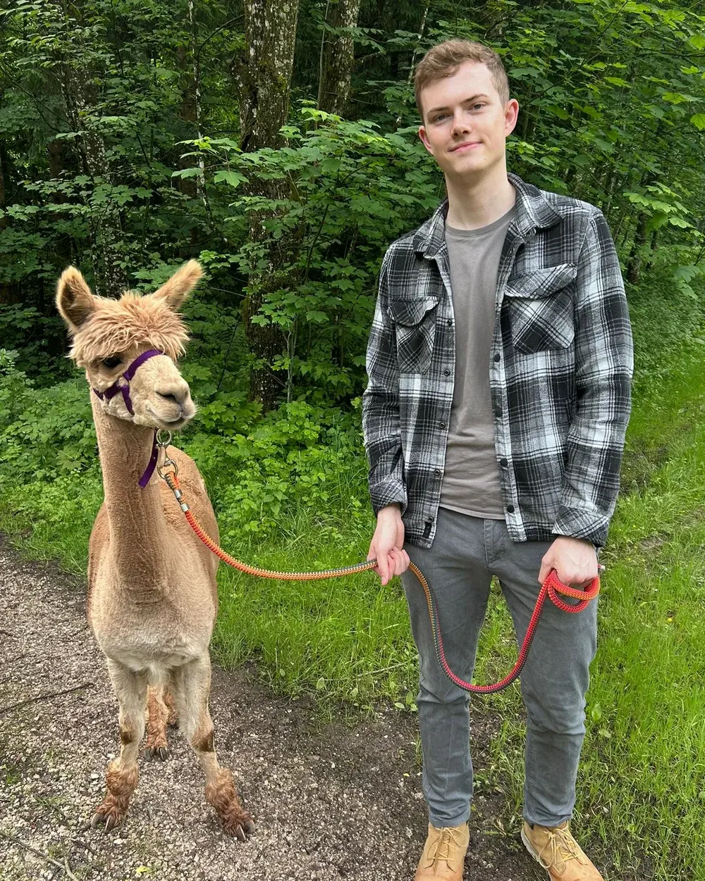 Patrick, Gründer von wirdruckendeinauto, mit einem Alpaka auf einem Waldweg